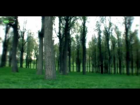 Zaniyar - Ashegh Shodam