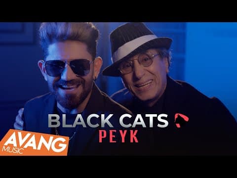 Black Cats - Peyk
