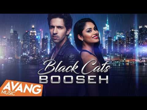 Black Cats - Booseh