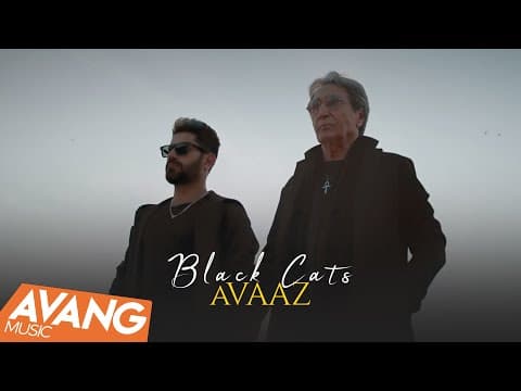 Black Cats - Avaaz